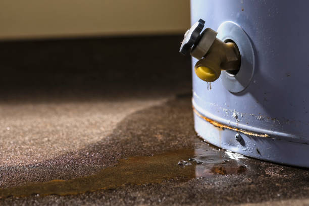 Best Water damage contractors near me  in Kincheloe, MI