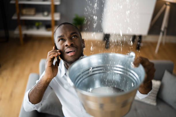 Best Flood damage cleanup  in Kincheloe, MI