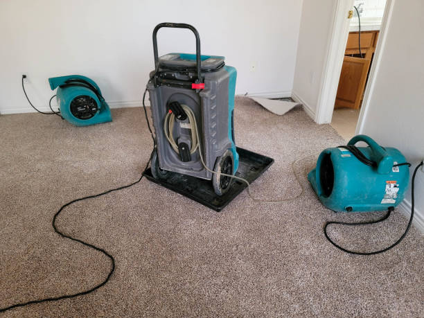 Best Water damage cleanup near me  in Kincheloe, MI