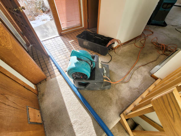 Best Flood restoration services  in Kincheloe, MI