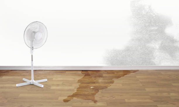 Best 24-hour water damage restoration  in Kincheloe, MI