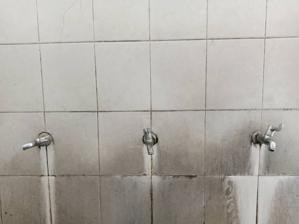 Kincheloe, MI Water damage restoration Company