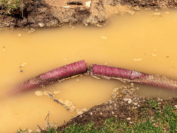 Best Water damage contractors near me  in Kincheloe, MI