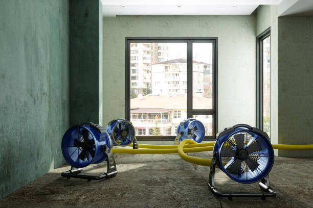 Best Water damage restoration near me  in Kincheloe, MI